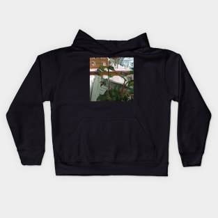 Budding fuchsia in upstairs window. Kids Hoodie